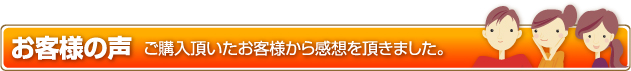 �����ͤ���